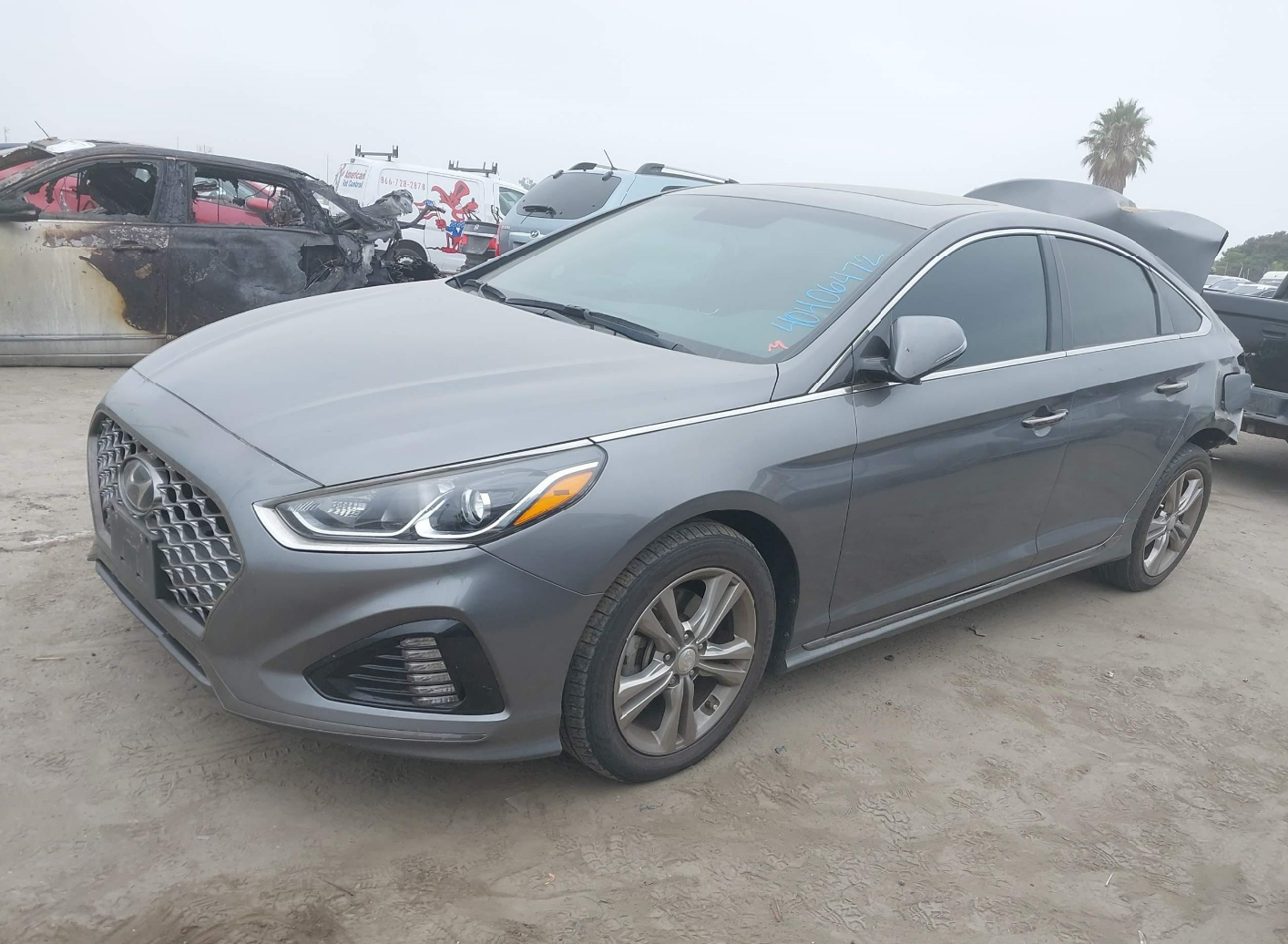 2019 Hyundai Sonata Sport