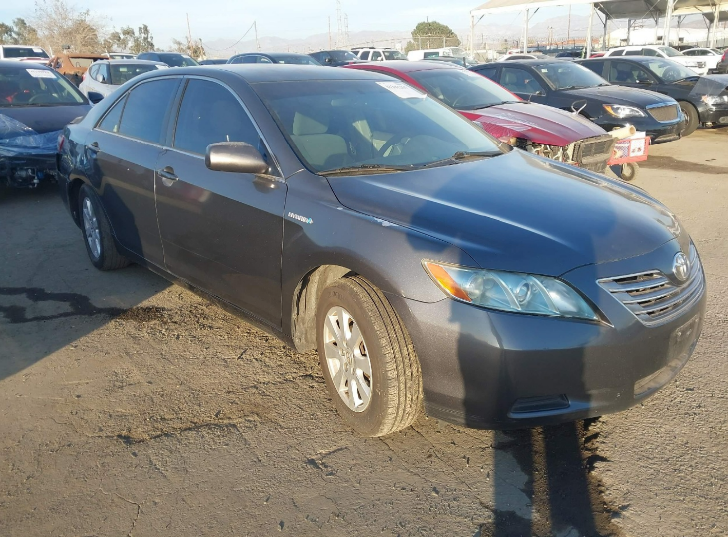 2007 Toyota Camry