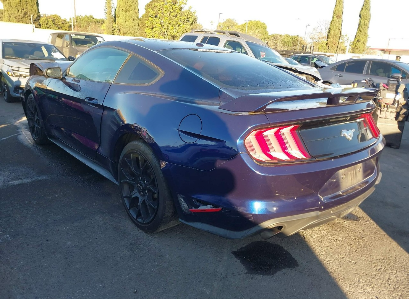 2019 Ford Mustang